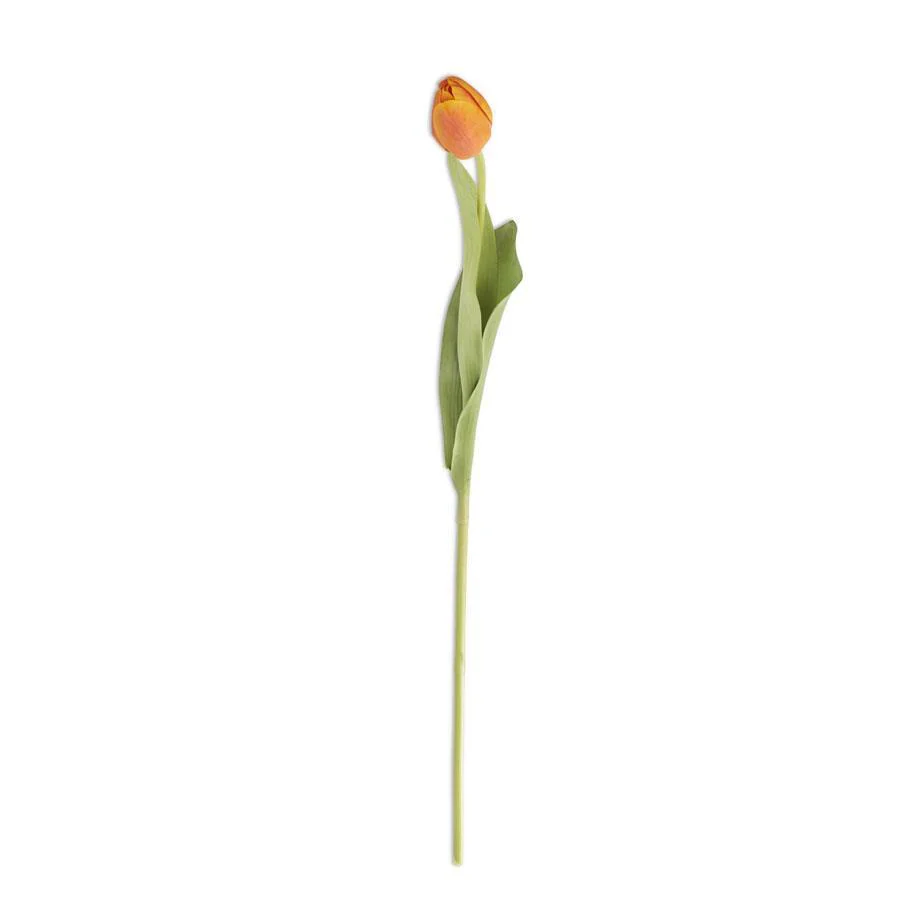 26.75 Inch Silk with Real Touch Single Tulip Stem - Image 3