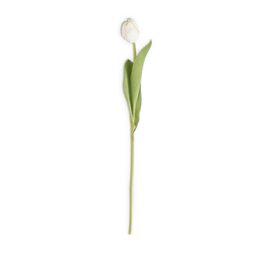 26.75 Inch Silk with Real Touch Single Tulip Stem - Image 6