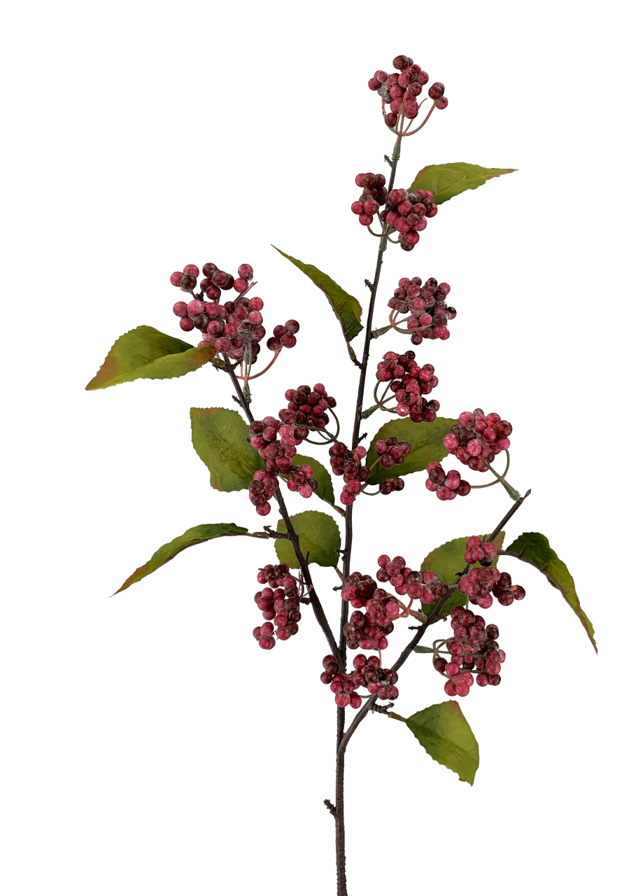 26" Berry Spray - Image 3