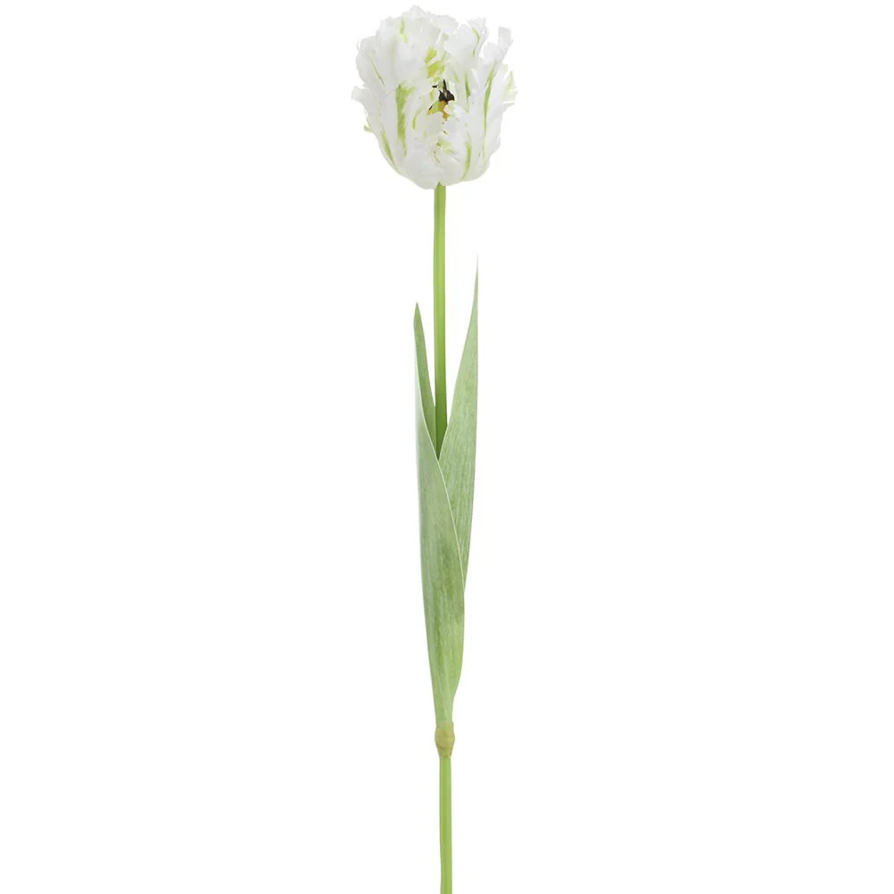 27 Inch Parrot Tulip Spray