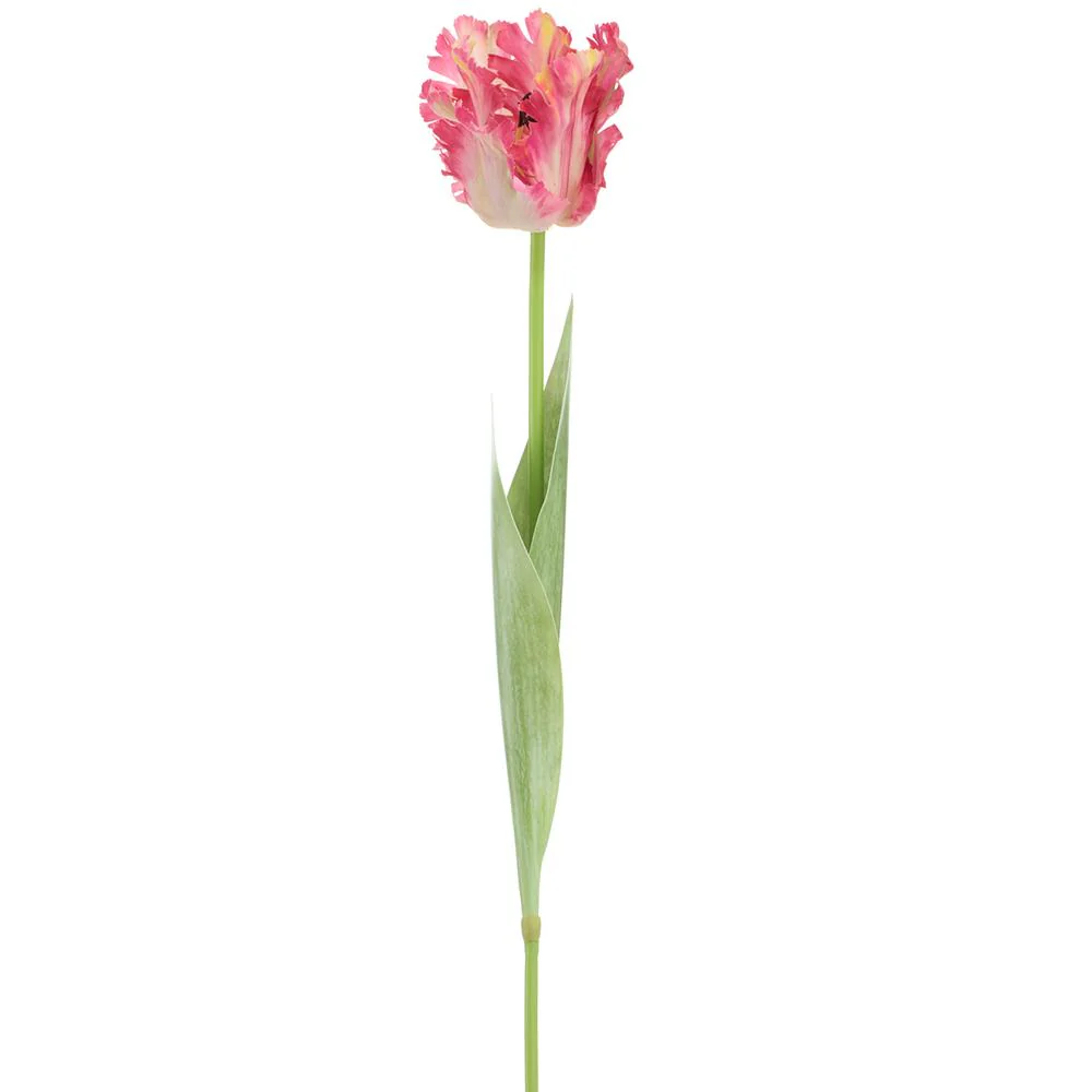 27 Inch Parrot Tulip Spray - Image 3