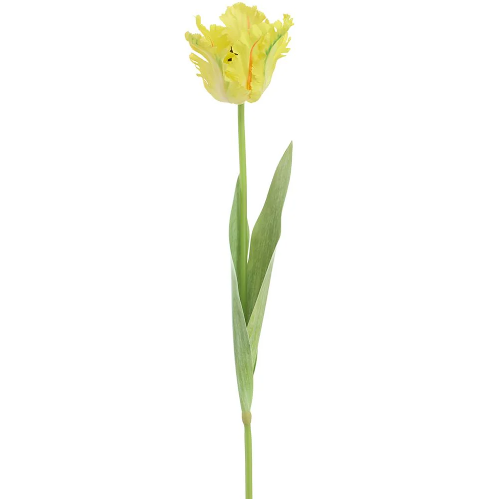 27 Inch Parrot Tulip Spray - Image 4
