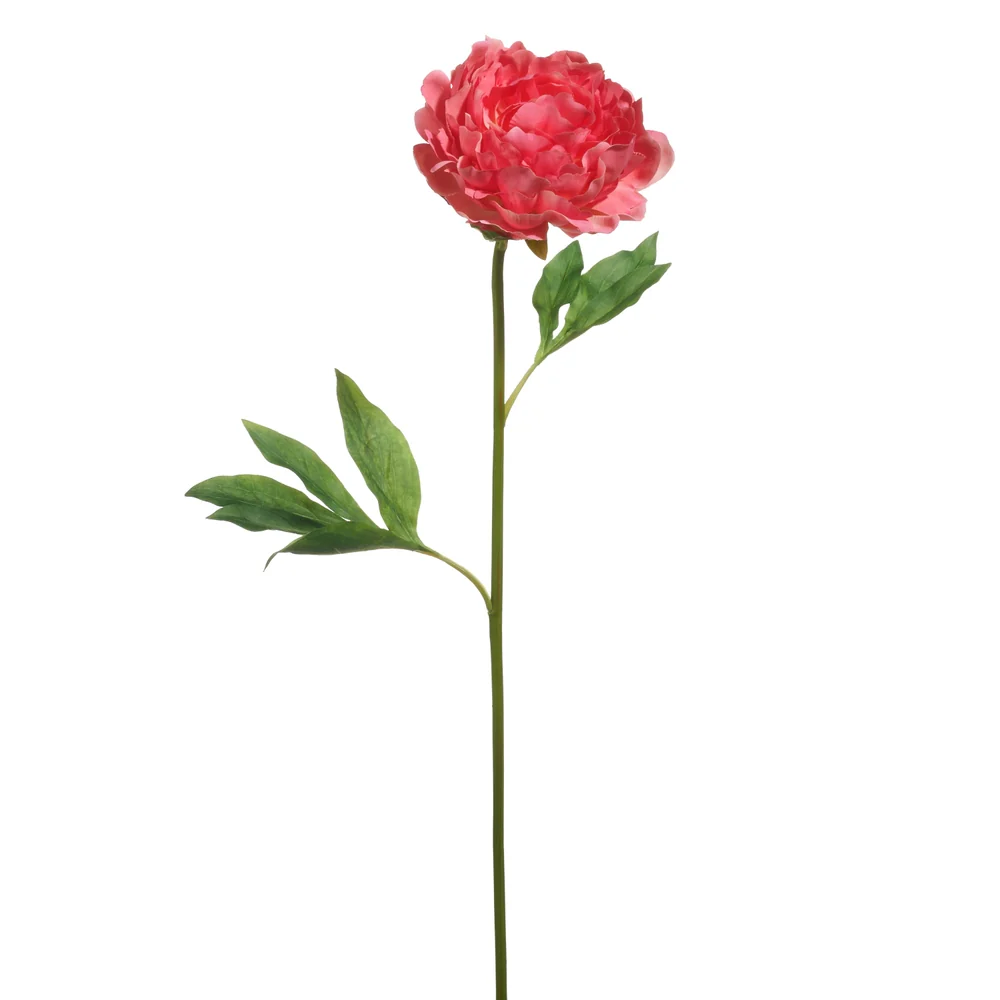 28" Single Peony Stem - Image 3