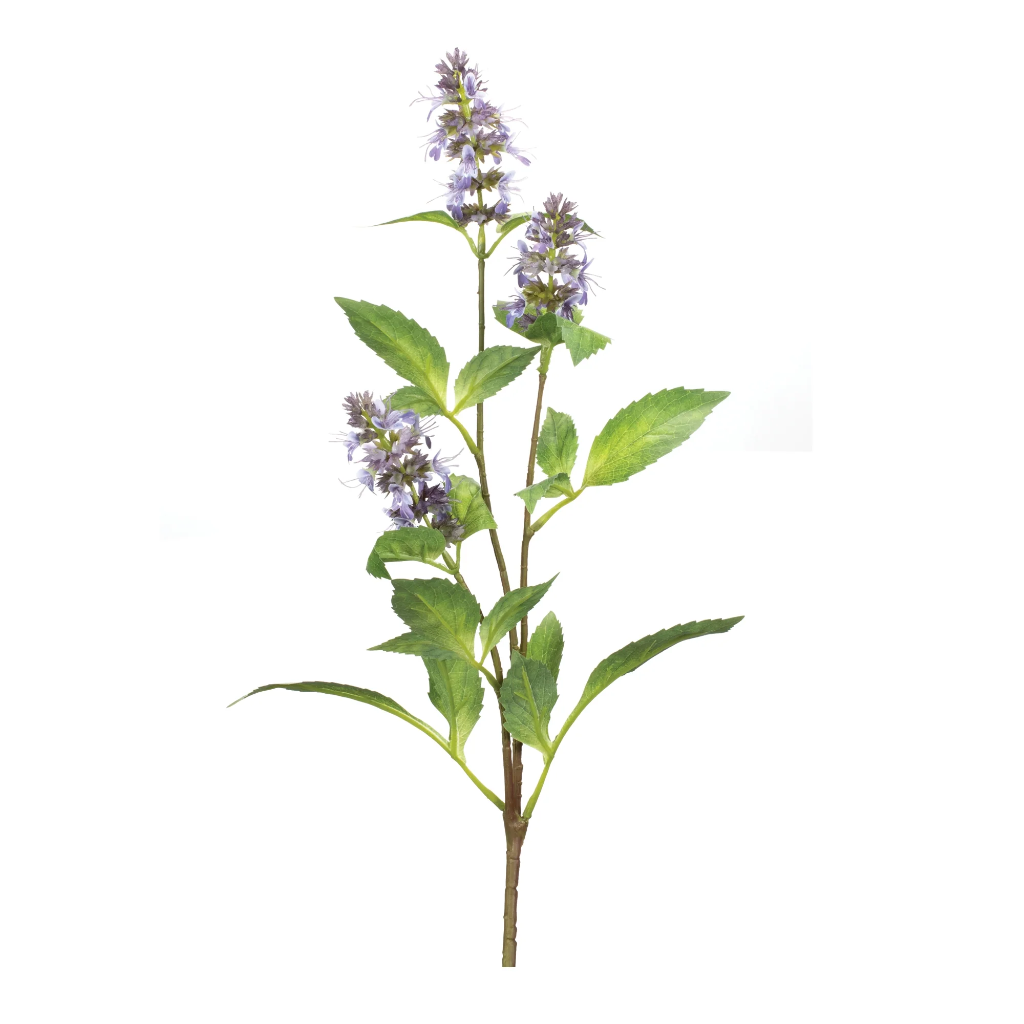 29”H  Buddleia Stem