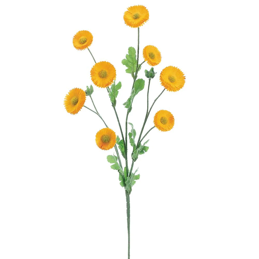 29 Inch Aster Daisy Spray - Image 2