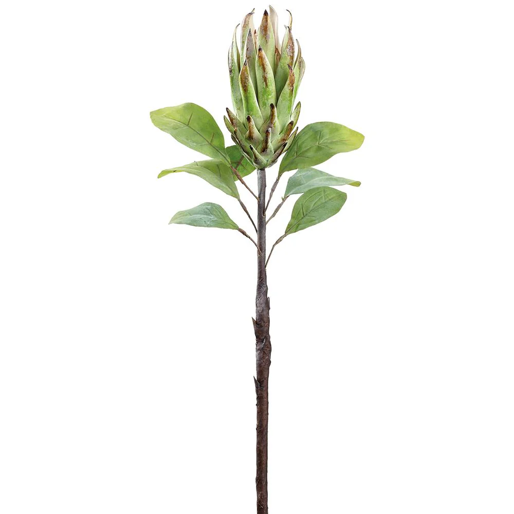 29" Protea Spray - Image 2