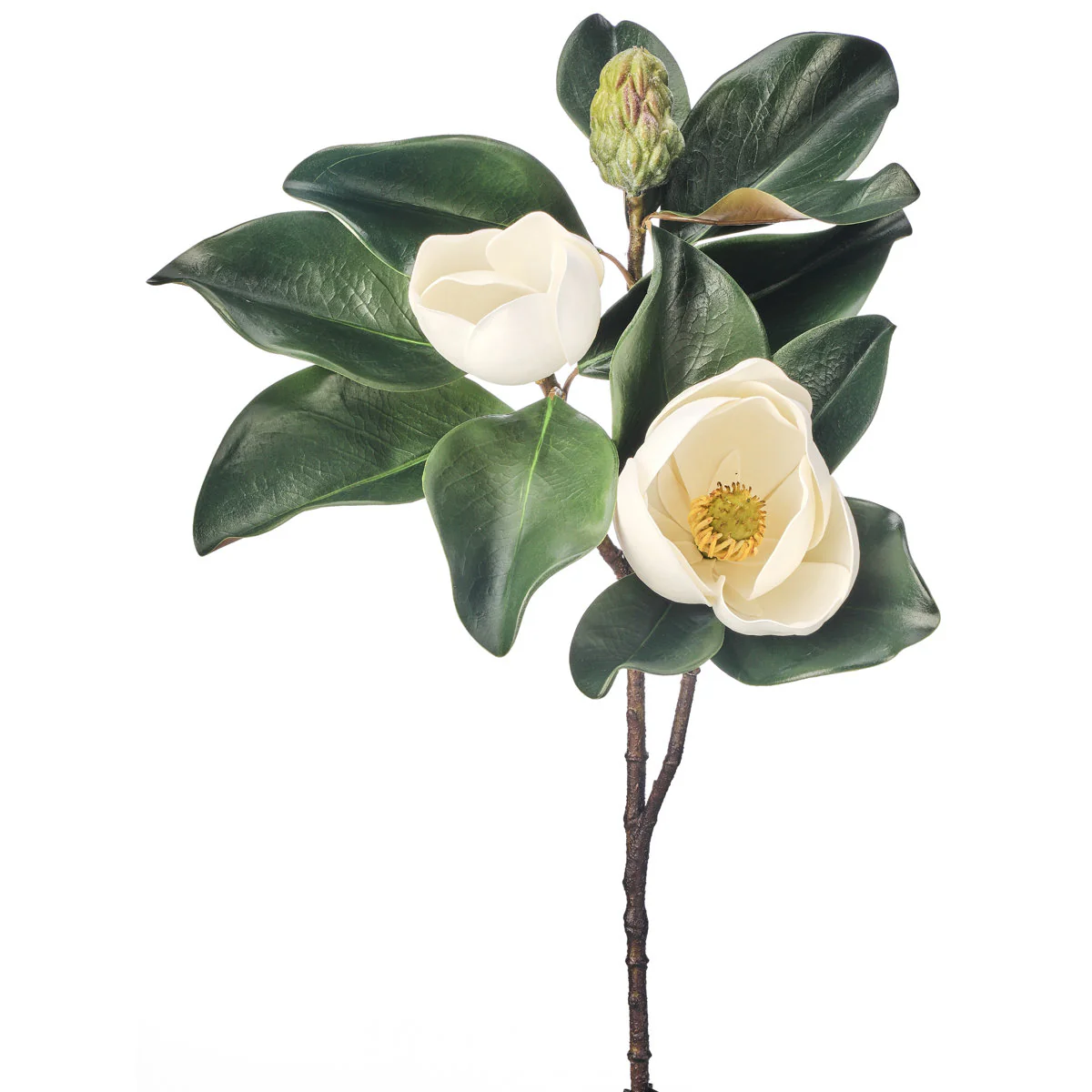 29" Veranda Magnolia