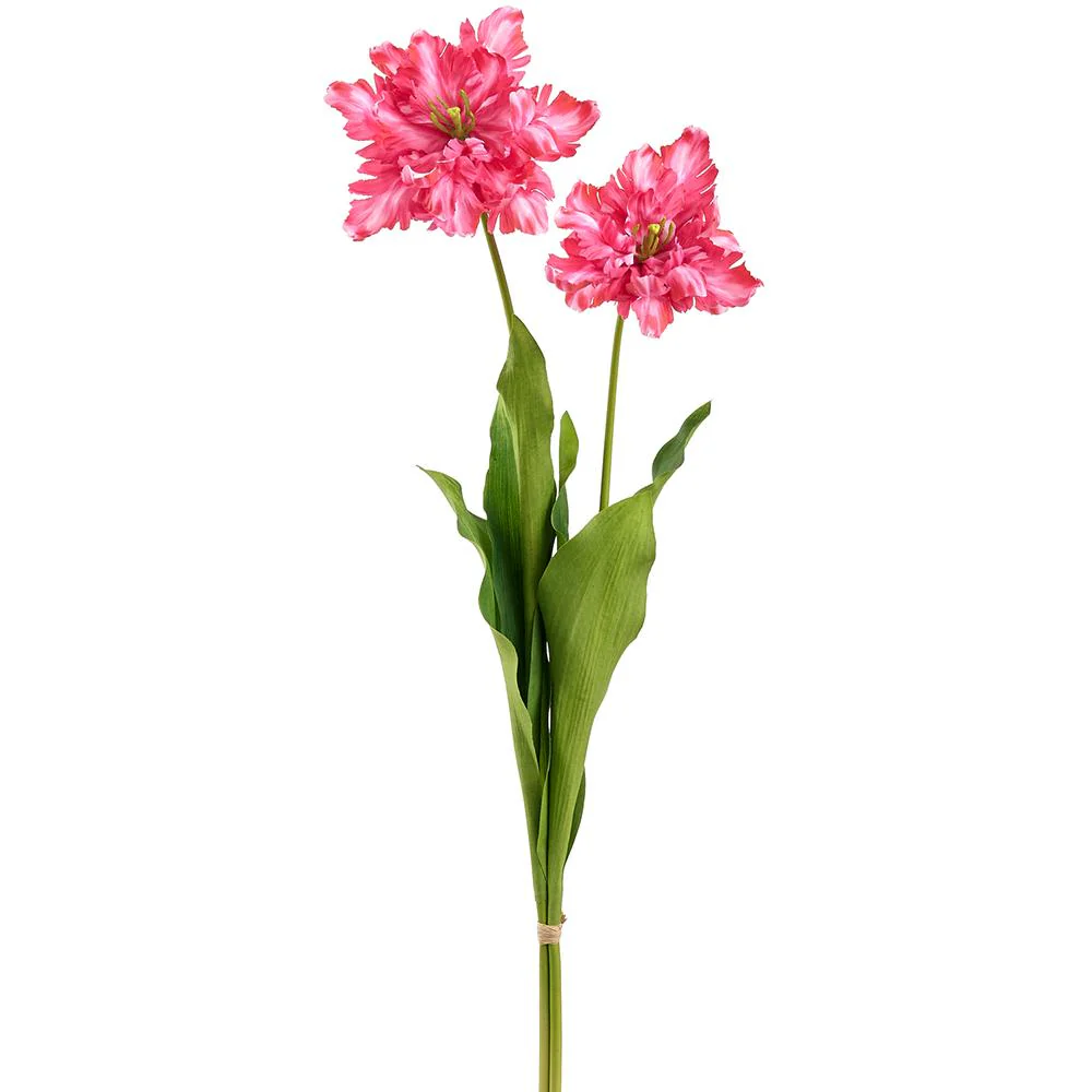 30.5 Inch Parrot Tulip Bundle - Image 2
