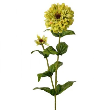 30" Garden Zinnia Bud - Image 2