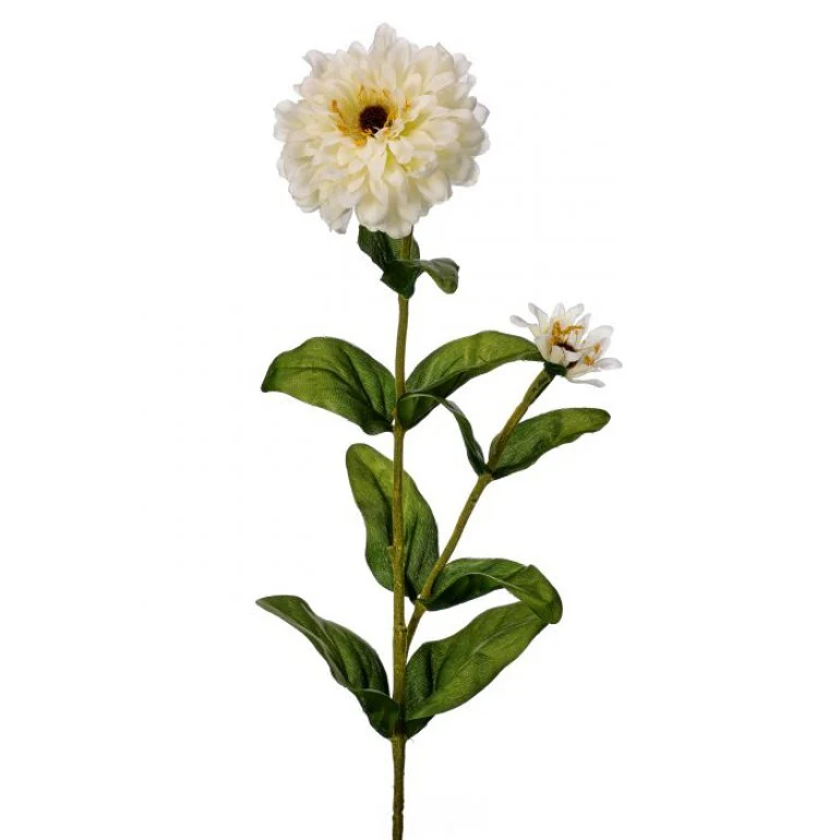 30" Garden Zinnia Bud - Image 5