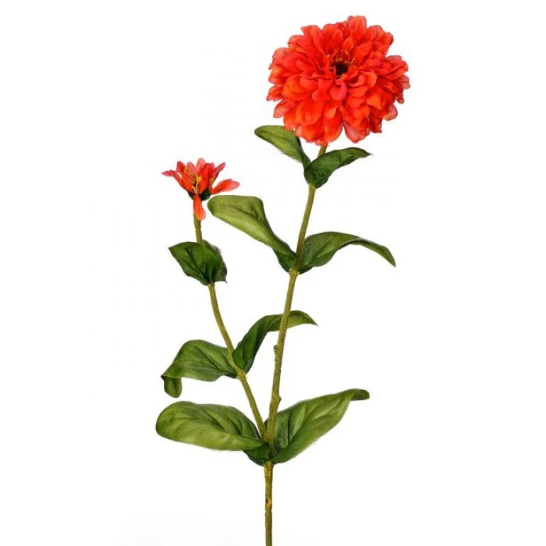 30" Garden Zinnia Bud - Image 6