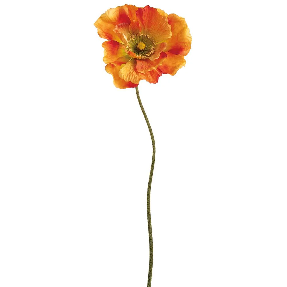 30 Inch Poppy Spray