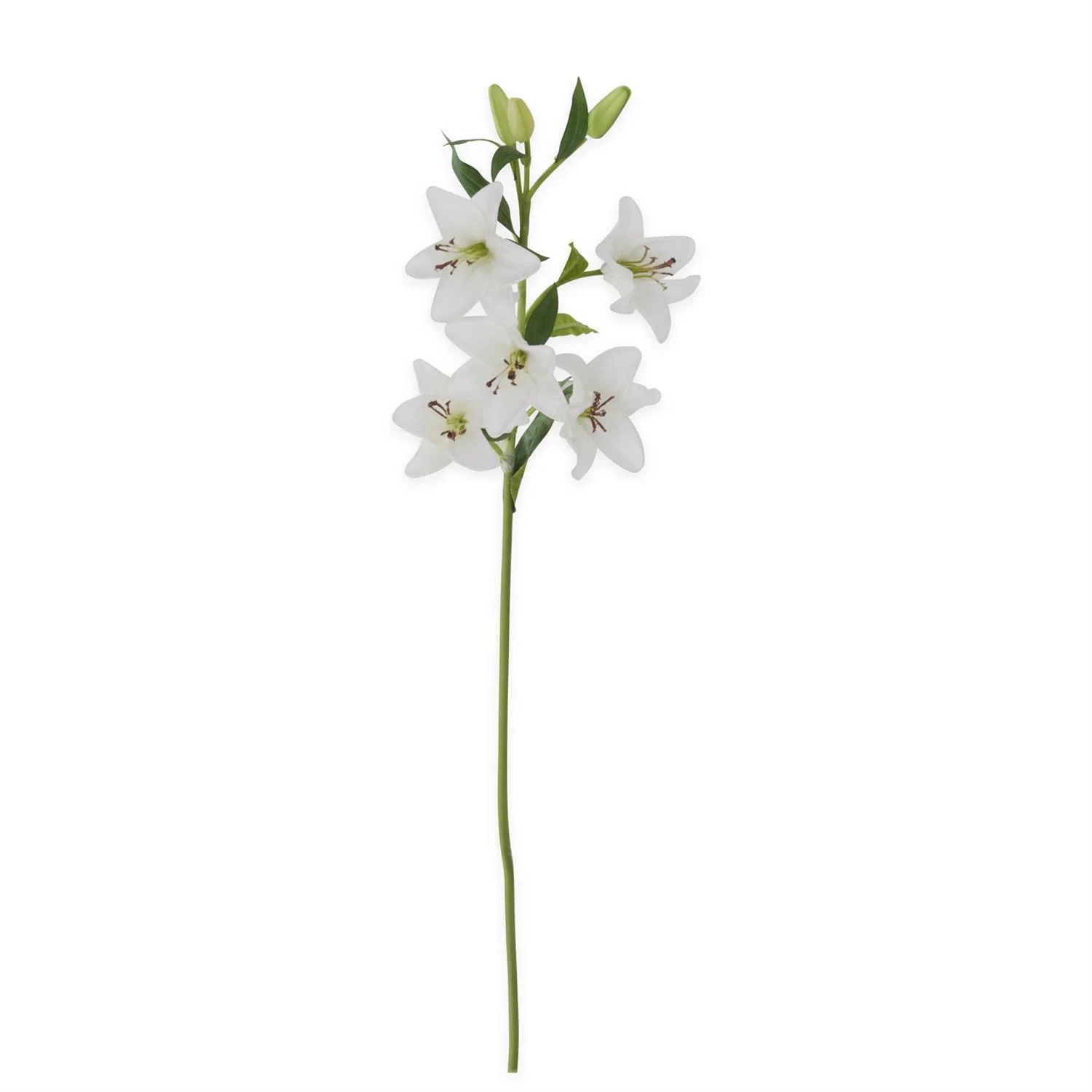 30 Inch White Real Touch Lily 5 Blooms & 3 Buds Stem