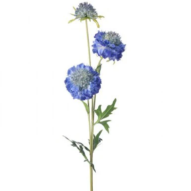 30" Just Cut Triple Scabiosa