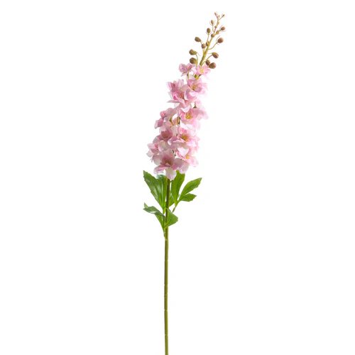 34" Delphinium Stem - Image 2
