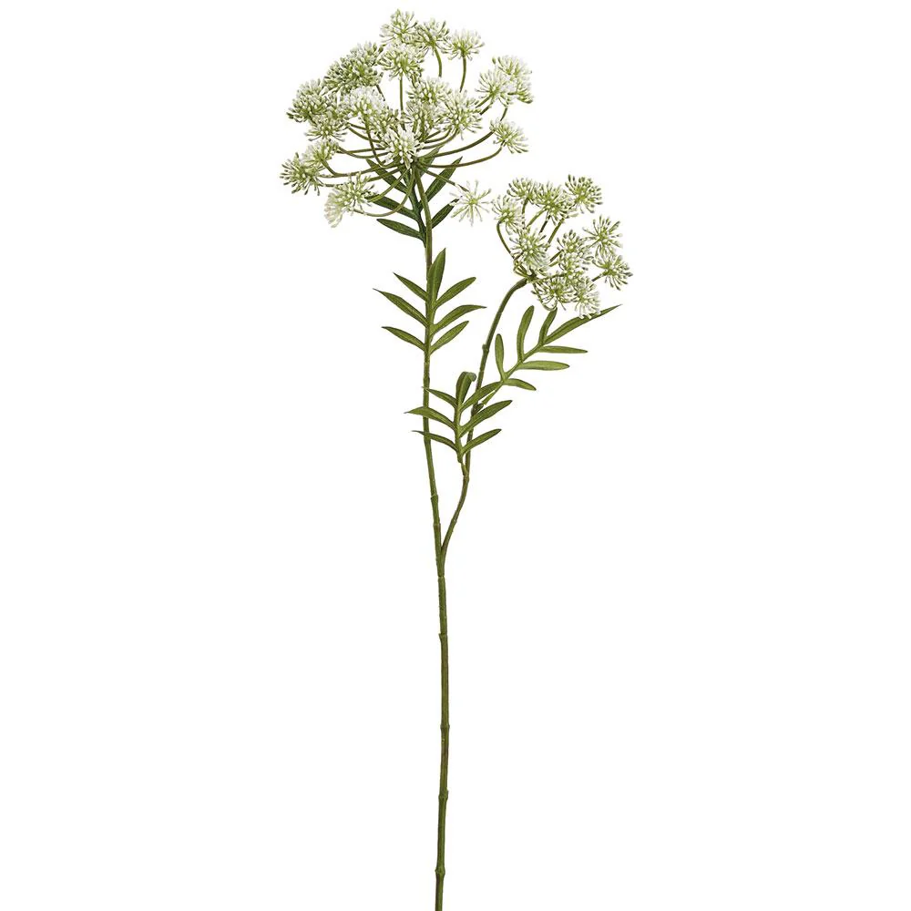 34 Inch Dill Spray Cream