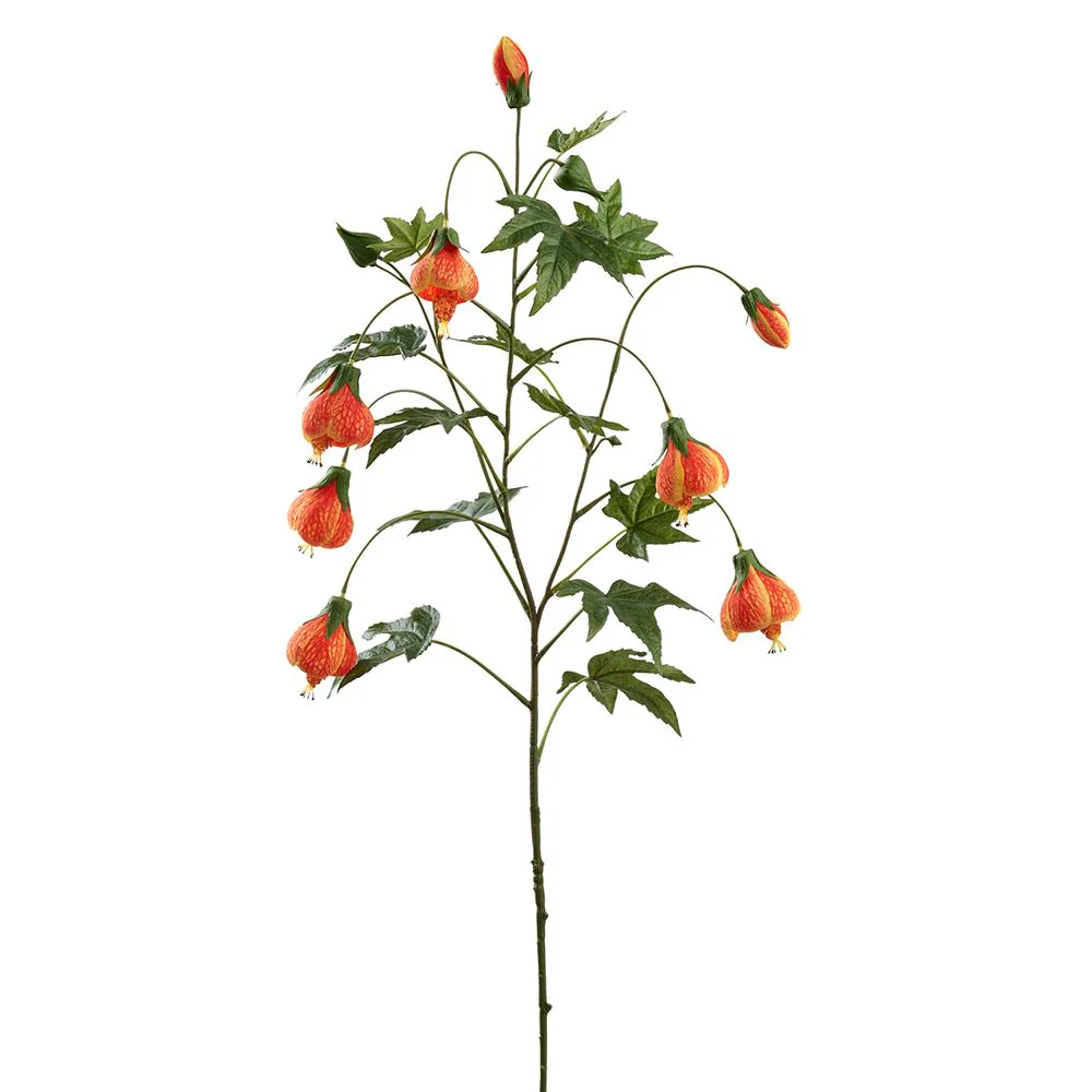 38.5 Inch Abutilon Spray Orange