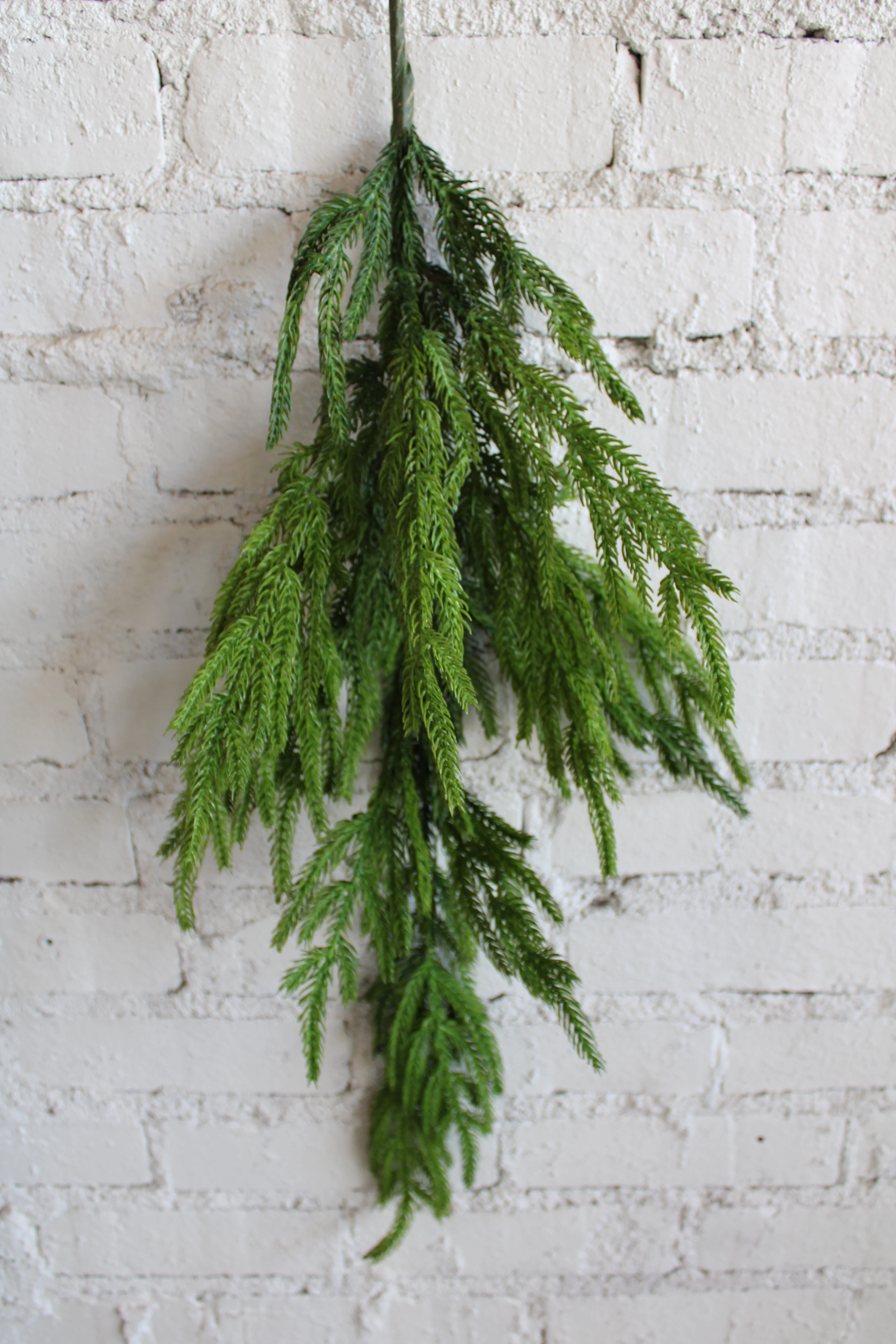 38" Natural Touch Norfolk Pine Spray - Image 2