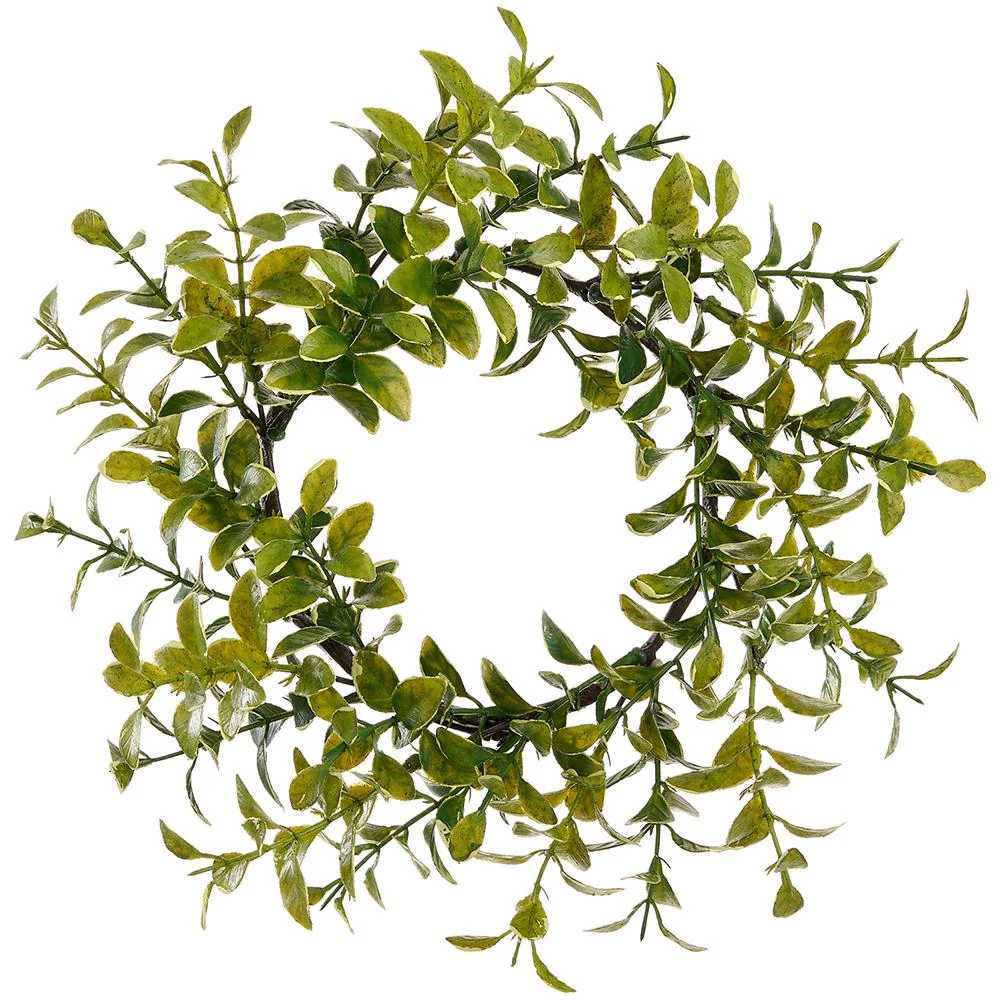 4.5 Inch Boxwood Candle Ring Green