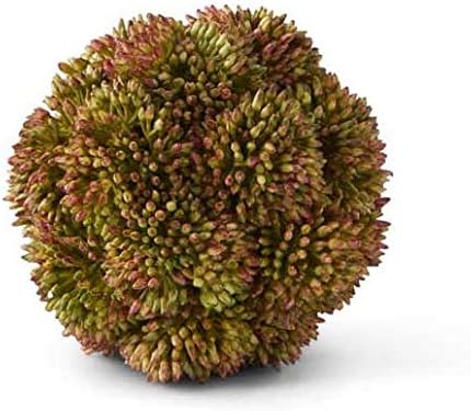 4 Inch Dark Green Sedum Ball