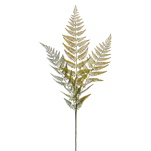 43” Fern Spray