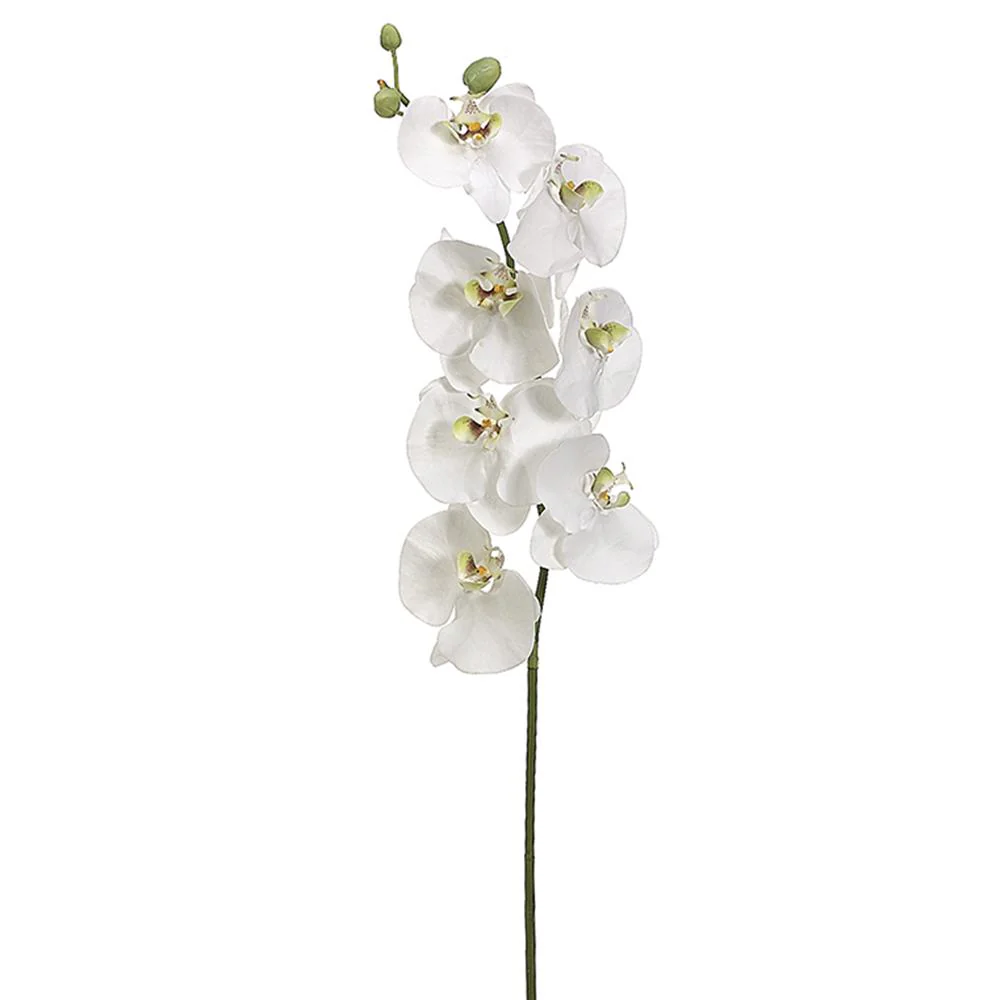 45 Inch Phalaenopsis Orchid Spray White Green