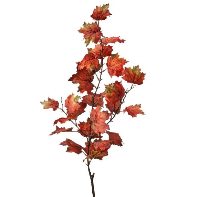 47" Northern Vermont Maple Spray