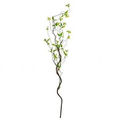 48" Wild Smilax Vine