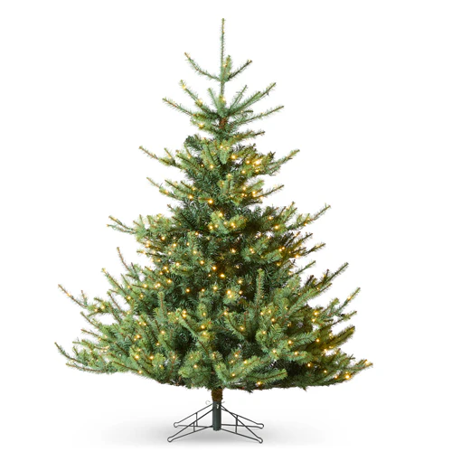 5.5' Deluxe Rocky Mountain Spruce with Brilliant Color Change Led Lights