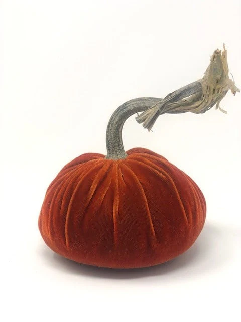 5" Velvet Pumpkin - Image 11