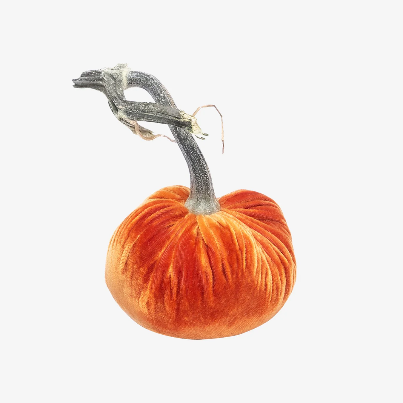 5" Velvet Pumpkin - Image 13