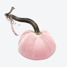 5" Velvet Pumpkin - Image 19