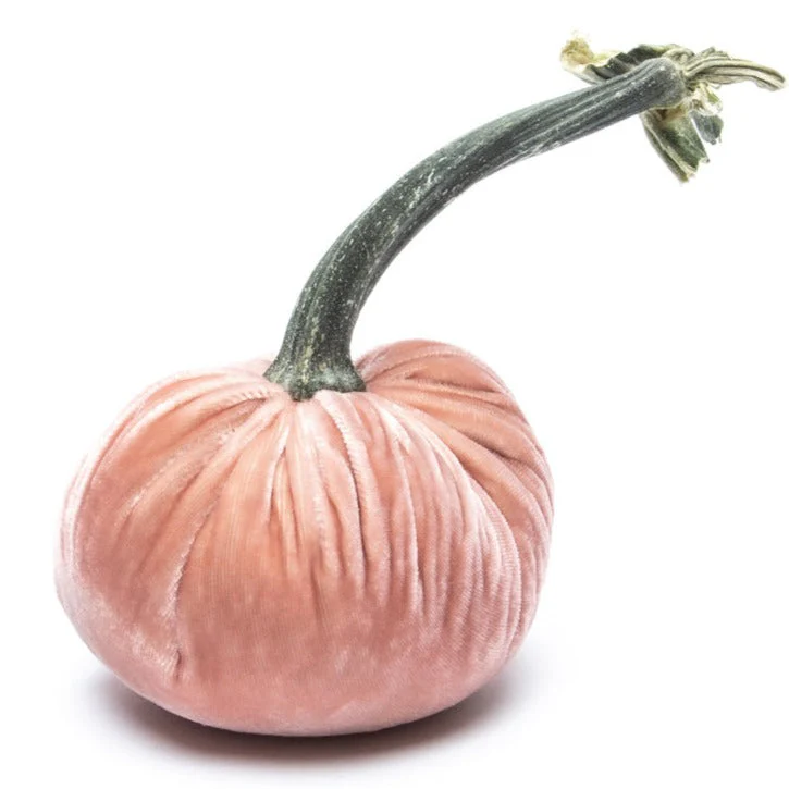 5" Velvet Pumpkin - Image 20