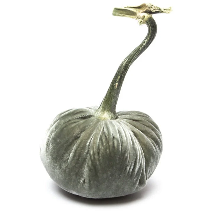 5" Velvet Pumpkin - Image 21