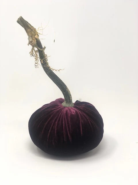 5" Velvet Pumpkin - Image 22