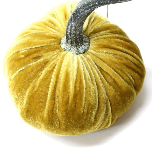 5" Velvet Pumpkin - Image 28