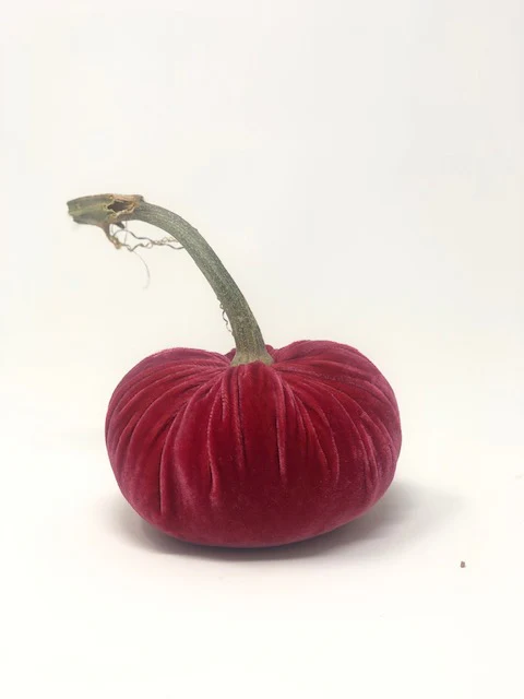 5" Velvet Pumpkin - Image 38