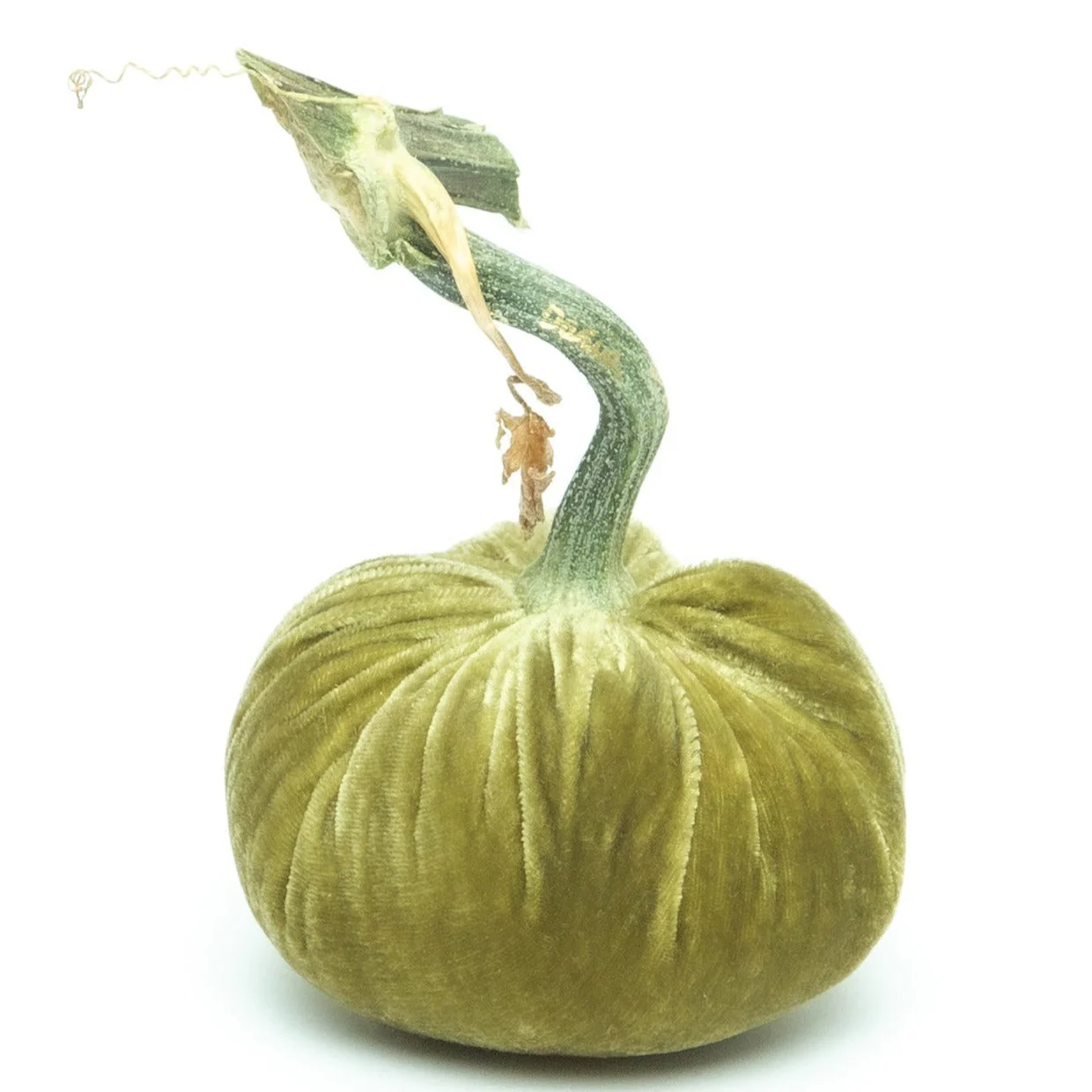 5" Velvet Pumpkin - Image 39