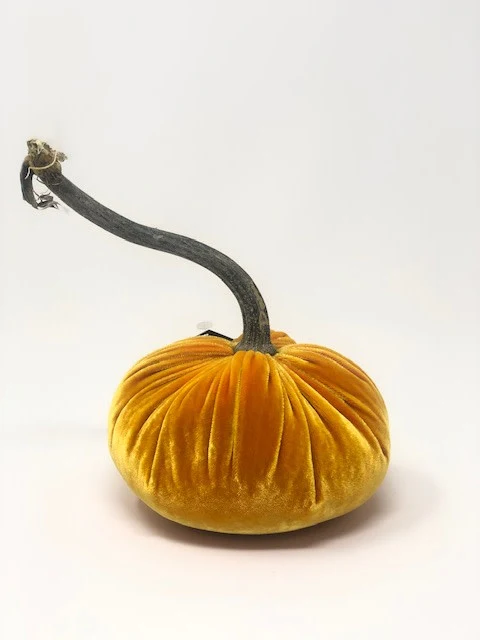 5" Velvet Pumpkin - Image 4