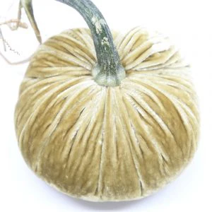 5" Velvet Pumpkin - Image 40