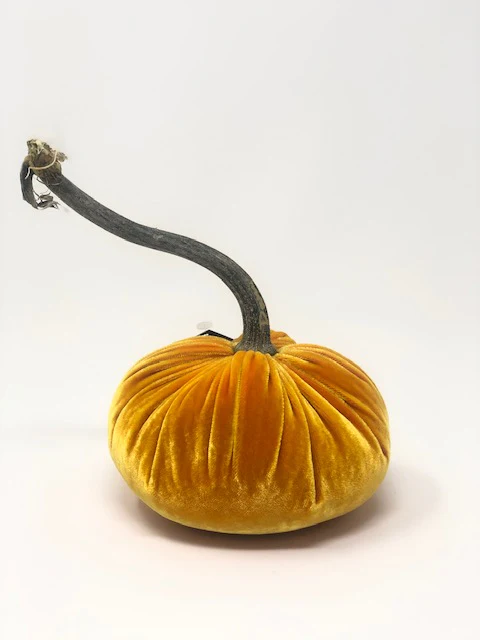 5" Velvet Pumpkin - Image 41