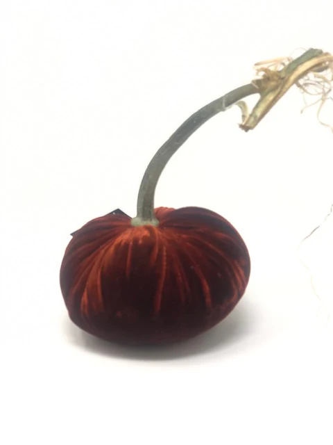 5" Velvet Pumpkin - Image 44