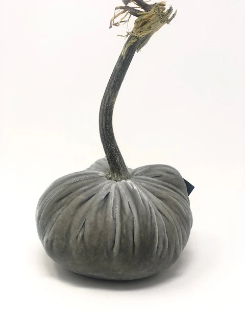 5" Velvet Pumpkin - Image 49