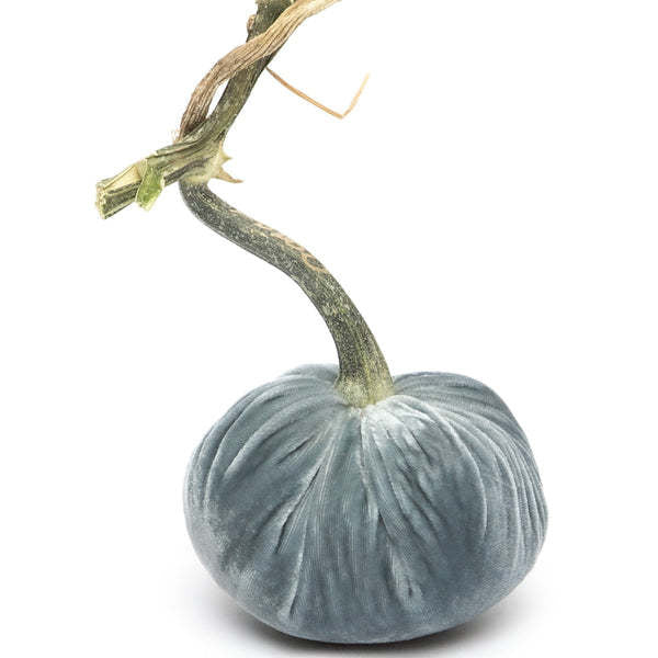 5" Velvet Pumpkin - Image 8