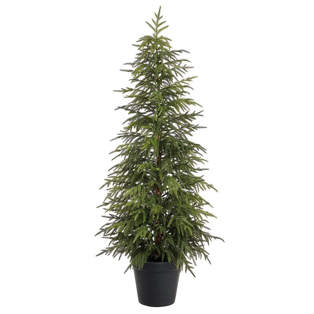 5' Willow Pine Tree in Plastic Pot Green