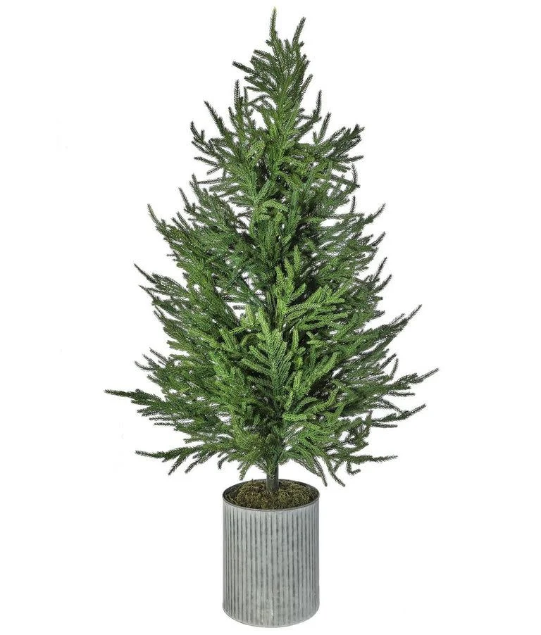 50" Potted Norfolk Pine Tree