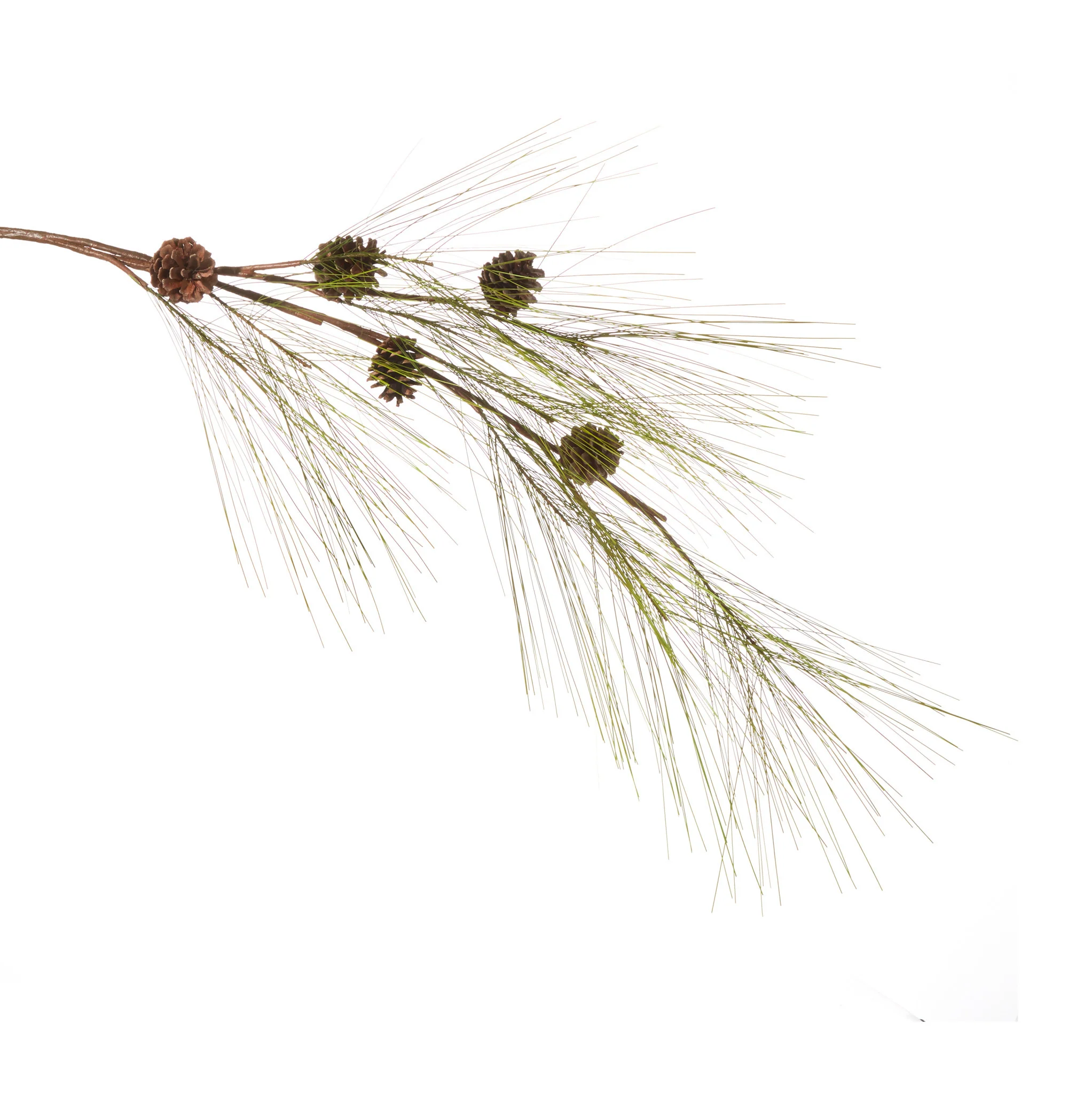 53 inch Pine Branch