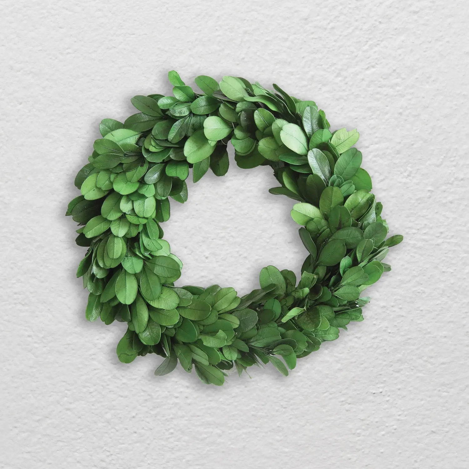6" Round Preserved Boxwood Wreath - Image 2