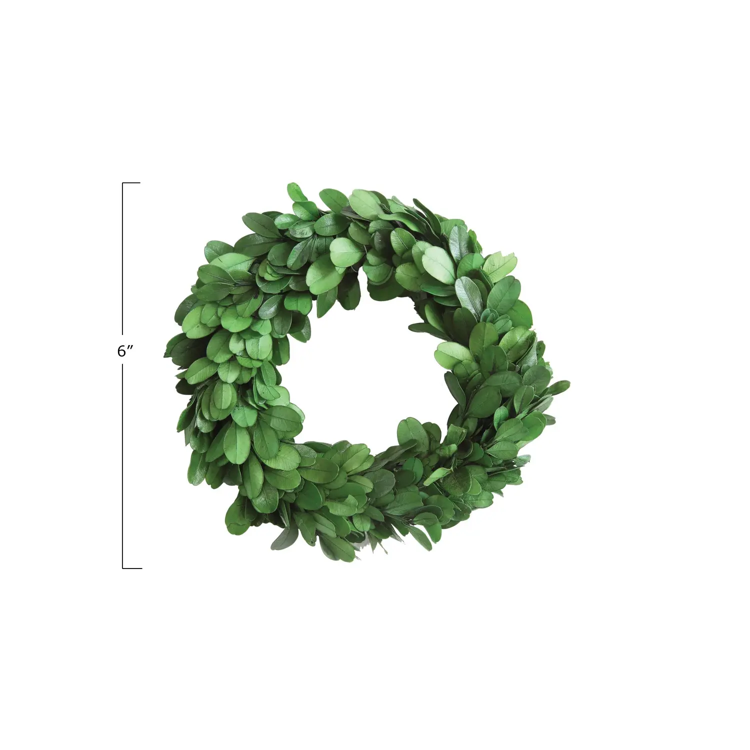 6" Round Preserved Boxwood Wreath - Image 3