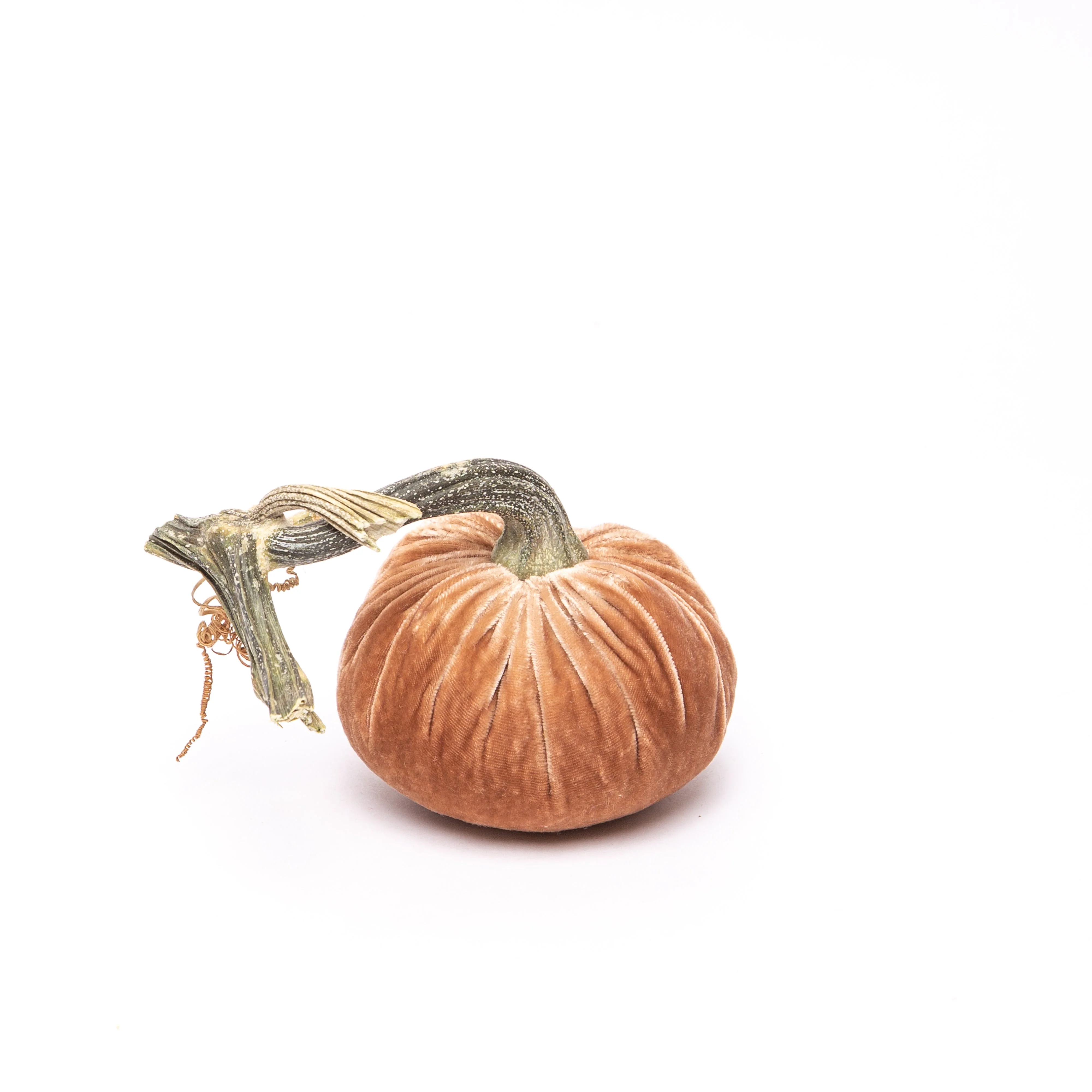 6" Velvet Pumpkin - Image 20